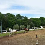 Noemi2 By Interhome Διαμέρισμα