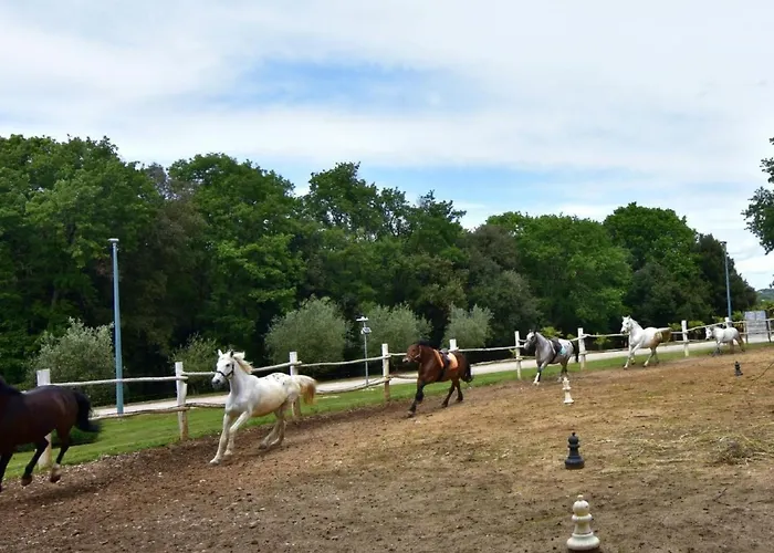 Noemi2 By Interhome Apartment