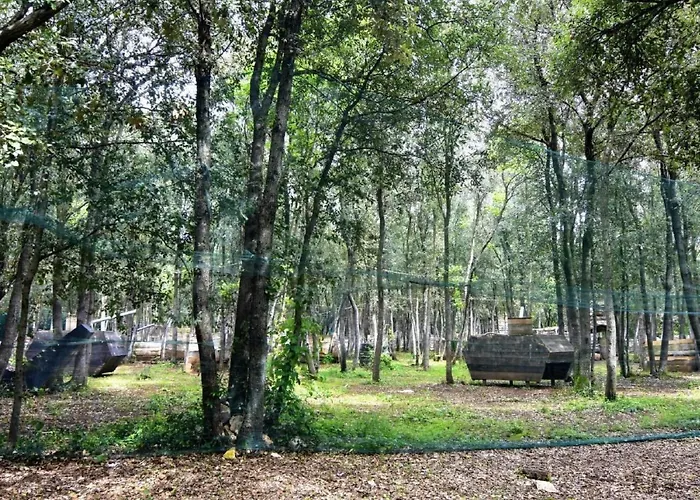 Noemi2 By Interhome Apartment Porec